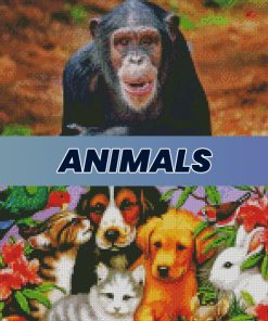 Animals