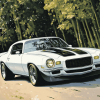 1972 Camaro Car Art Diamond Painting