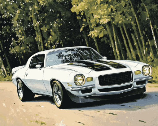 1972 Camaro Car Art Diamond Painting