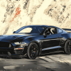 2018 GT Mustang Black Diamond Painting