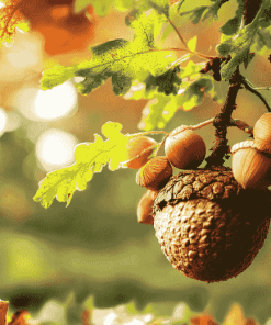 Acorn Tree Diamond Painting