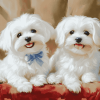 Adorable Maltese Dogs Diamond Painting