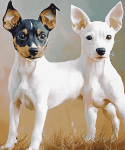 Adorable Rat Terriers Puppies Diamond Painting