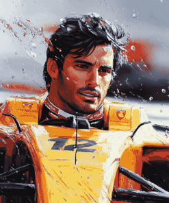 Aesthetic Carlos Sainz Racing Diamond Painting