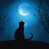 Aesthetic Cat Moon Silhouette Diamond Painting