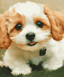 Aesthetic Cavachon Puppy Diamond Painting