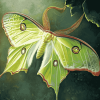 Aesthetic Luna Moth Diamond Painting