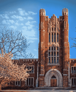 Aesthetic Michigan State University Buildings Diamond Painting