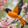 Aesthetic Orioles Birds Diamond Painting