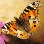 Aesthetic Painted Butterfly Diamond Painting