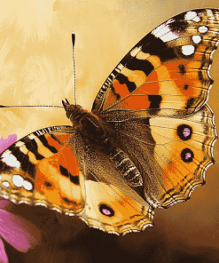 Aesthetic Painted Butterfly Diamond Painting