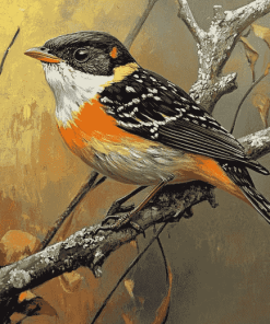 Aesthetic Pardalote Bird Diamond Painting