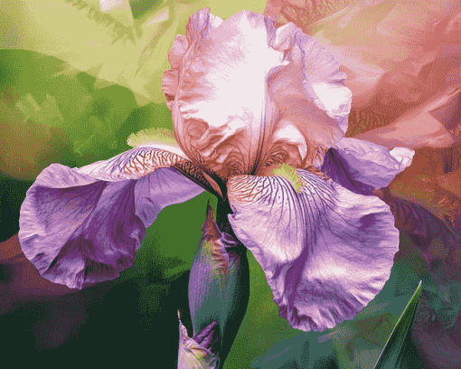 Aesthetic Pink Iris Blossoms Diamond Painting