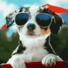 Aesthetic Puppy Sunglasses Diamond Painting