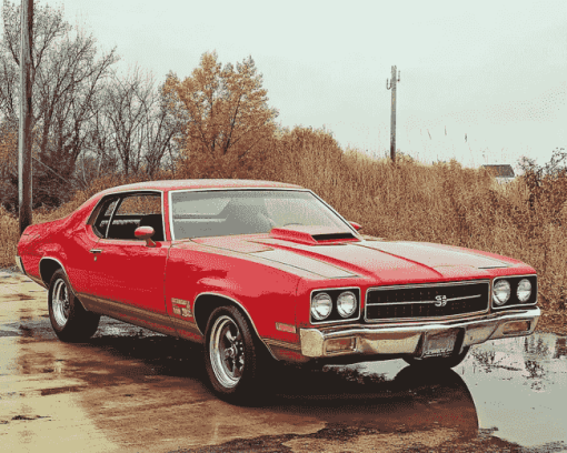 Aesthetic Red 1974 Gto Diamond Painting