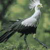 Aesthetic Secretarybird Diamond Painting