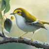 Aesthetic Silvereye Birds Diamond Painting