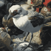 Aesthetic Wrybill Birds Diamond Painting