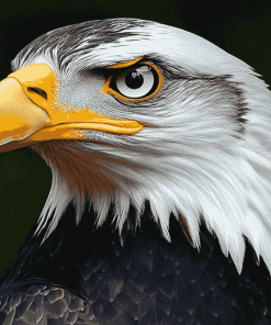 African Eagle Diamond Painting