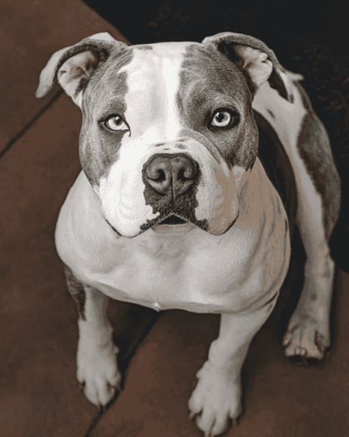 American Bulldog Puppy Diamond Painting