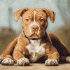 American Bully Puppy Diamond Painting