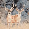 Axis Deer Diamond Painting