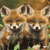 Baby Fox Cubs Diamond Painting