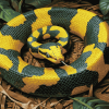 Banded Krait Reptile Diamond Painting