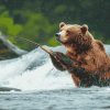 Bear Wildlife Fishing Diamond Painting