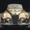 Beige Jaguar Vintage Engines Diamond Painting