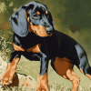 Black And Tan Coonhound Dog Diamond Painting