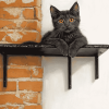 Black Cat Wall Scene Diamond Painting