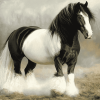 Black Clydesdale Horse Diamond Painting