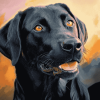 Black Labrador Puppy Diamond Painting