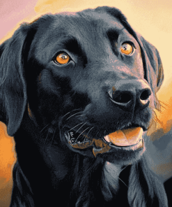 Black Labrador Puppy Diamond Painting