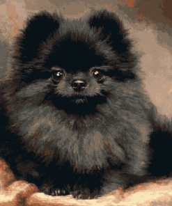 Black Pomeranian Puppy Diamond Painting