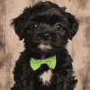 Black Shorkie Puppy Diamond Painting