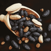 Black Tonka Beans Food Diamond Painting