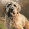 Briard Dog Diamond Painting