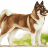 Brown Akita Puppy Diamond Painting