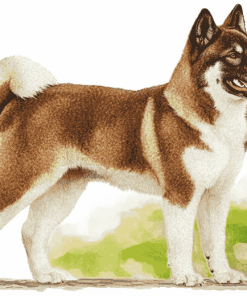 Brown Akita Puppy Diamond Painting