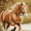 Brown Welsh Pony Horse Diamond Painting