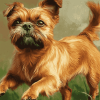 Brussel Griffon Puppy Diamond Painting