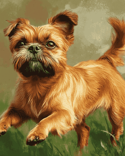 Brussel Griffon Puppy Diamond Painting