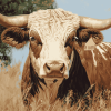 Bull with Horns Diamond Painting