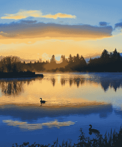 Burnaby Lake Sunrise Landscape Diamond Painting