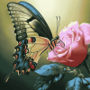 Butterfly Roses Blossoms Diamond Painting