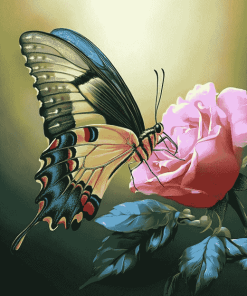 Butterfly Roses Blossoms Diamond Painting