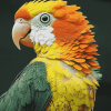 Caique Parrot Colorful Diamond Painting