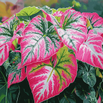 Caladium Vibrant Leaves Diamond Painting
